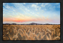 Load image into Gallery viewer, Golden Hour