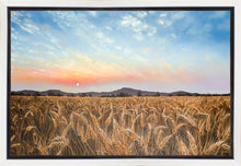 Load image into Gallery viewer, Golden Hour