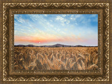 Load image into Gallery viewer, Golden Hour