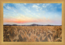 Load image into Gallery viewer, Golden Hour