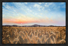 Load image into Gallery viewer, Golden Hour