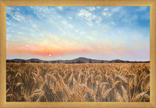 Load image into Gallery viewer, Golden Hour