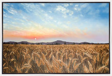Load image into Gallery viewer, Golden Hour