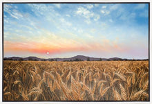 Load image into Gallery viewer, Golden Hour