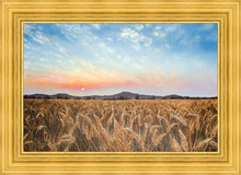 Load image into Gallery viewer, Golden Hour