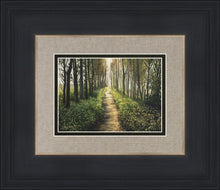 Load image into Gallery viewer, Enjoy The Beauty On Your Broken Path, Forest Walkway