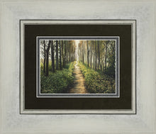 Load image into Gallery viewer, Enjoy The Beauty On Your Broken Path, Forest Walkway