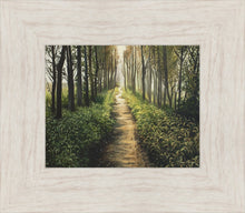 Load image into Gallery viewer, Enjoy The Beauty On Your Broken Path, Forest Walkway