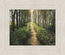 Load image into Gallery viewer, Enjoy The Beauty On Your Broken Path, Forest Walkway