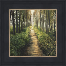 Load image into Gallery viewer, Enjoy The Beauty On Your Broken Path, Forest Walkway