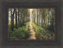 Load image into Gallery viewer, Enjoy The Beauty On Your Broken Path, Forest Walkway