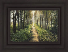Load image into Gallery viewer, Enjoy The Beauty On Your Broken Path, Forest Walkway