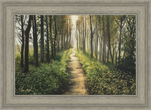 Load image into Gallery viewer, Enjoy The Beauty On Your Broken Path, Forest Walkway