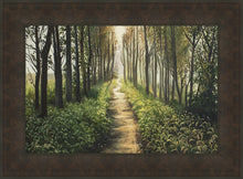 Load image into Gallery viewer, Enjoy The Beauty On Your Broken Path, Forest Walkway