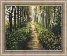 Load image into Gallery viewer, Enjoy The Beauty On Your Broken Path, Forest Walkway