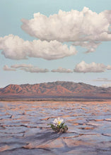 Load image into Gallery viewer, Bloom Where You Are Planted