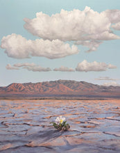 Load image into Gallery viewer, Bloom Where You Are Planted