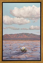 Load image into Gallery viewer, Bloom Where You Are Planted