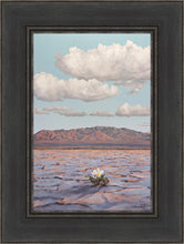 Load image into Gallery viewer, Bloom Where You Are Planted
