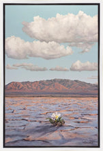 Load image into Gallery viewer, Bloom Where You Are Planted