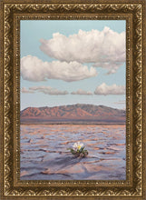 Load image into Gallery viewer, Bloom Where You Are Planted