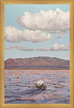 Load image into Gallery viewer, Bloom Where You Are Planted