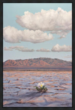 Load image into Gallery viewer, Bloom Where You Are Planted
