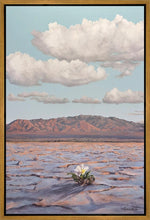 Load image into Gallery viewer, Bloom Where You Are Planted