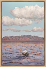 Load image into Gallery viewer, Bloom Where You Are Planted
