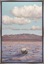 Load image into Gallery viewer, Bloom Where You Are Planted