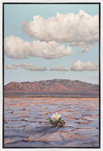 Load image into Gallery viewer, Bloom Where You Are Planted