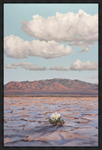 Load image into Gallery viewer, Bloom Where You Are Planted