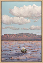 Load image into Gallery viewer, Bloom Where You Are Planted