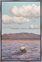 Load image into Gallery viewer, Bloom Where You Are Planted