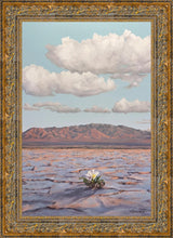 Load image into Gallery viewer, Bloom Where You Are Planted