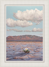 Load image into Gallery viewer, Bloom Where You Are Planted