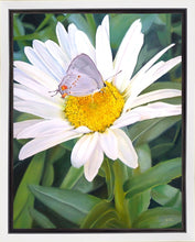 Load image into Gallery viewer, The Daisy and The Butterfly