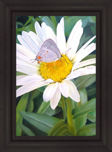 Load image into Gallery viewer, The Daisy and The Butterfly