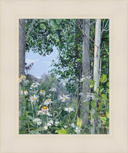 Load image into Gallery viewer, Quakies and Daisies