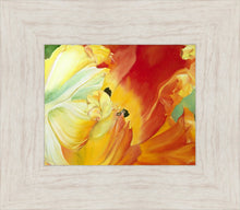 Load image into Gallery viewer, A Tulip for Fiona