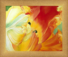 Load image into Gallery viewer, A Tulip for Fiona