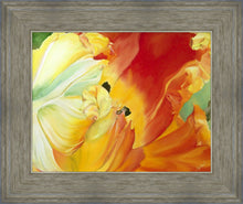 Load image into Gallery viewer, A Tulip for Fiona