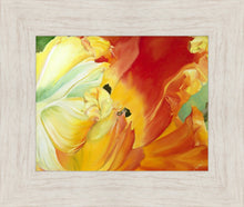 Load image into Gallery viewer, A Tulip for Fiona
