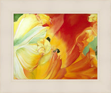 Load image into Gallery viewer, A Tulip for Fiona