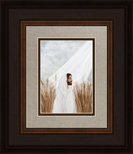 Load image into Gallery viewer, The Good Seed