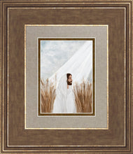 Load image into Gallery viewer, The Good Seed