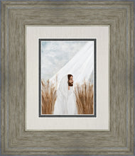 Load image into Gallery viewer, The Good Seed