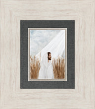 Load image into Gallery viewer, The Good Seed