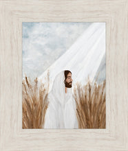 Load image into Gallery viewer, The Good Seed
