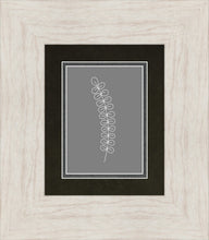 Load image into Gallery viewer, Minimalist Stem Gray